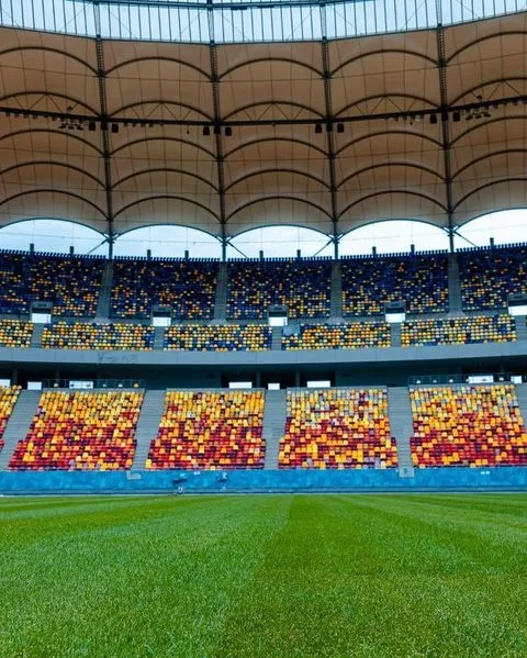 Nicusor Dan: Schimbăm gazonul de pe Arena Națională