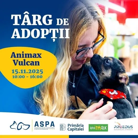 Târg de noi adopții de căței în București