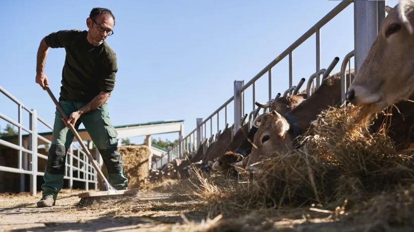 România își consolidează potențialul agricol prin investiții masive în zootehnie