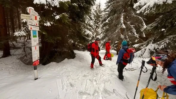 Cooperare internațională în domeniul salvării montane în județul Satu Mare