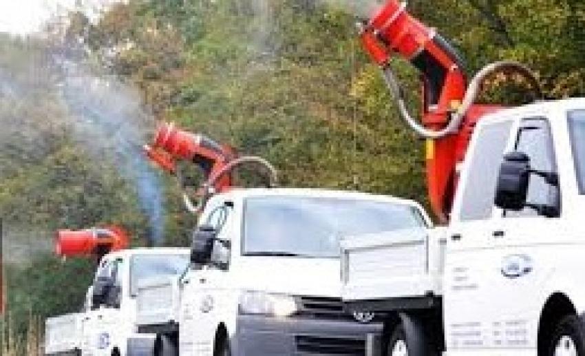 Tratamente &icirc;mpotriva ț&acirc;nțarilor, căpușelor și șobolanilor &icirc;n T&acirc;rgu Mureș