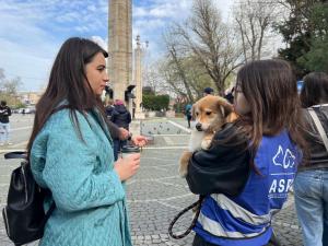 Primul târgul de adopții în aer liber din București