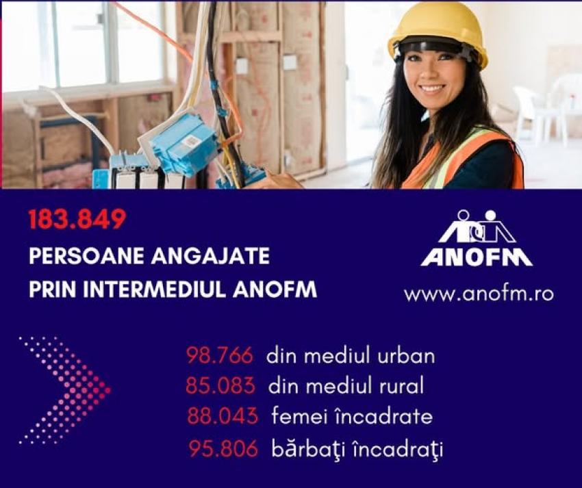 183.849 persoane angajate prin intermediul ANOFM