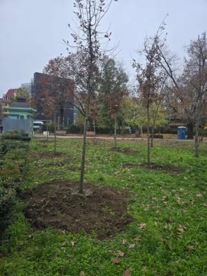 Toamna aceasta aduce mai mult verde &icirc;n Parcul Regele Mihai I!