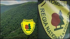 Selecție pentru ocuparea funcției de director general provizoriu al Romsilva