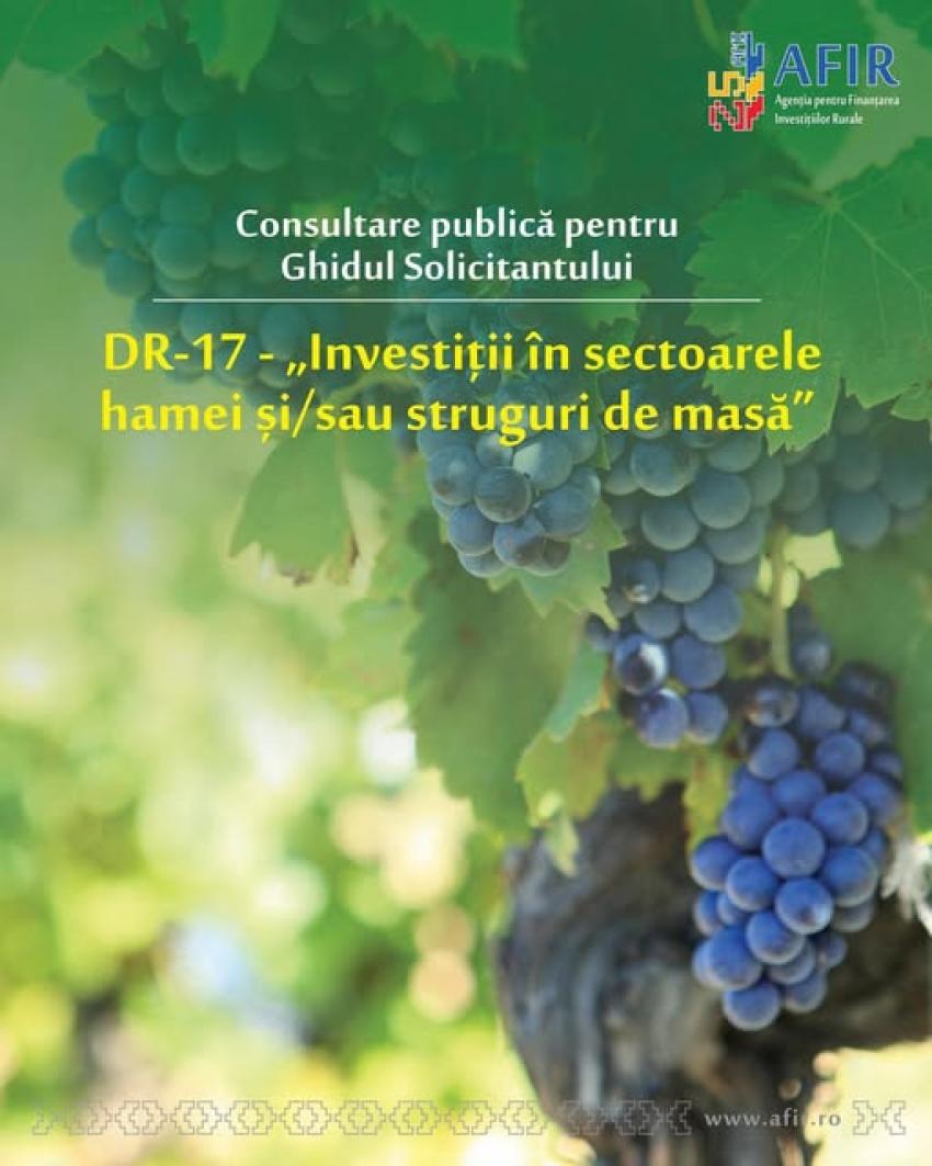 Consultare publică pentru finanțarea investițiilor &icirc;n sectoarele strugurilor de masă și/ sau hamei