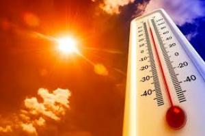 Temperaturi între 38 și 40 de grade, în Teleorman