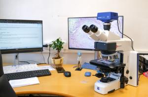 Echipamente performante pentru diagnostice de precizie