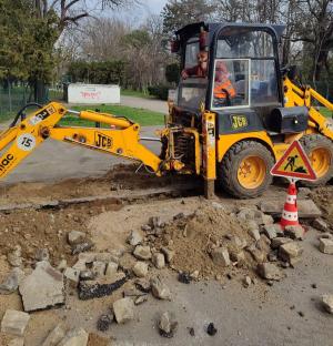 Firma care a lucrat &icirc;n Parcul Carol, amendată pentru că a afectat spațiul verde