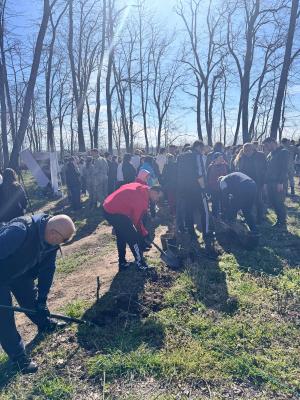 Proiectul „Studenții plantează”în Giurgiu