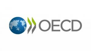 România a obținut încă un aviz pentru aderarea la OCDE