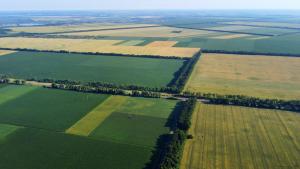 Cadastru. Peste 2,2 milioane de documente online &icirc;n 2025, prin Myeterra și ePay