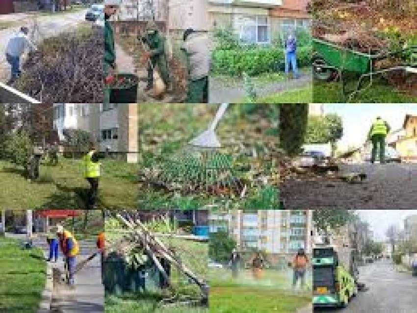 Demarează campania “Curățenia de primăvară” în sectorul 5