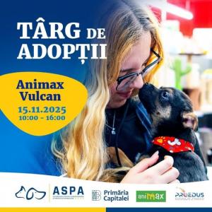 T&acirc;rg de noi adopții de căței &icirc;n București