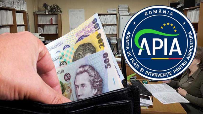 APIA. Cereri numeroase pentru sprijinul de urgență în sectorul ovin-caprin