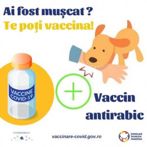 Ai fost mușcat? Te poți vaccina simultan &icirc;mpotriva COVID-19 și &icirc;mpotriva rabiei