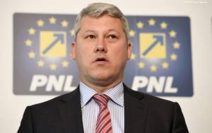 Președintele interimar al PNL a anunțat sprijinul liberalilor pentru Nicușor Dan