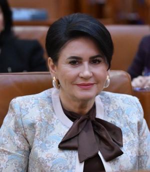 Viorica Sandu, deputat PSD: A fost aprobat programul național de dezvoltare locală