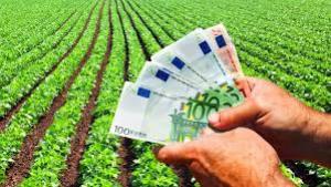 Noi termen pentru depunerea cererilor de plată la APIA