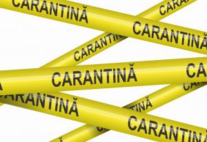 Parlamentarii nu intră &icirc;n carantină chiar dacă vizitează țări cu risc de infectare cu coronavirus